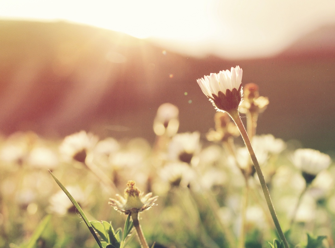 Katharina Bralo, Yoga, Meditation & Coaching in München